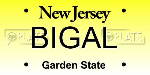 BIGAL New Jersey License Plate