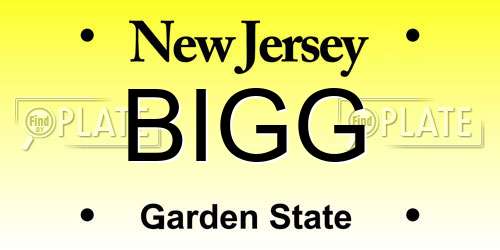 BIGG New Jersey License Plate