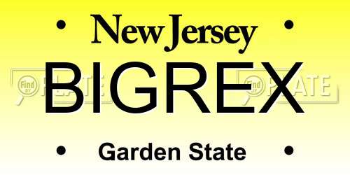 BIGREX New Jersey License Plate