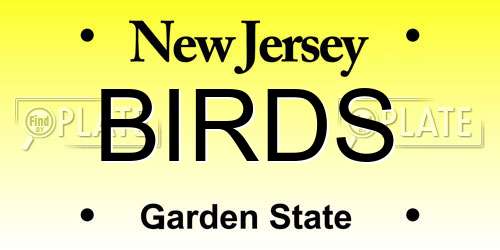 BIRDS New Jersey License Plate