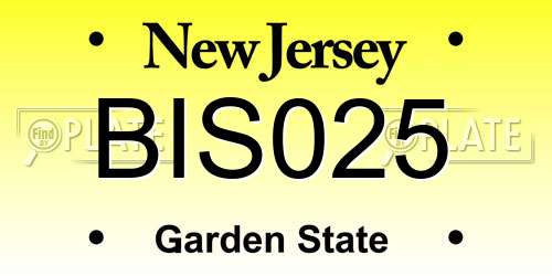 BIS025 New Jersey License Plate