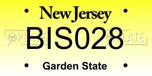 BIS028 New Jersey License Plate