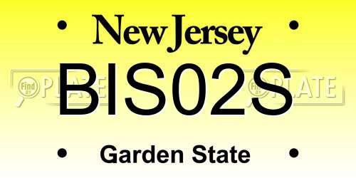 BIS02S New Jersey License Plate