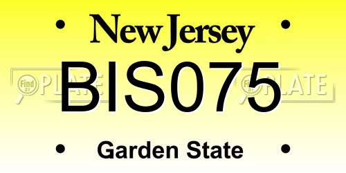 BIS075 New Jersey License Plate