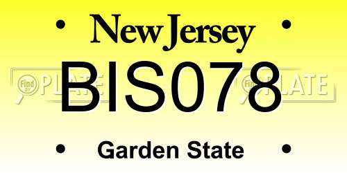 BIS078 New Jersey License Plate