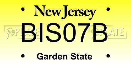 BIS07B New Jersey License Plate