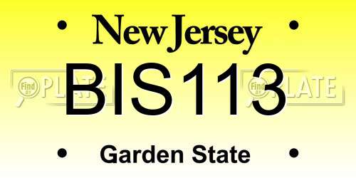 BIS113 New Jersey License Plate