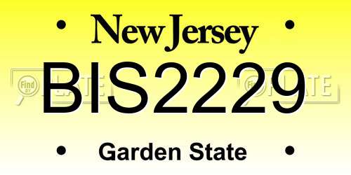 BIS2229 New Jersey License Plate