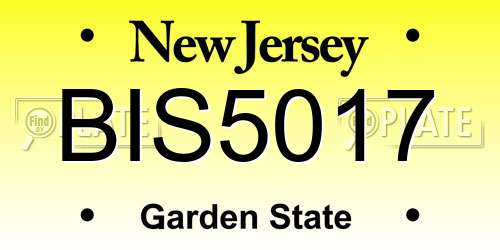BIS5017 New Jersey License Plate