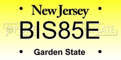 BIS85E New Jersey License Plate