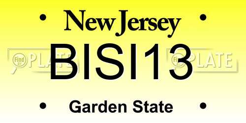 BISI13 New Jersey License Plate