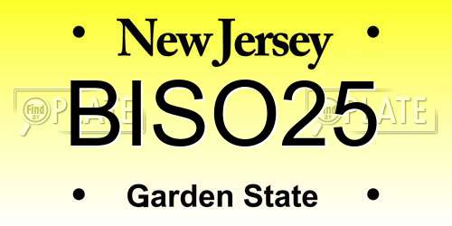 BISO25 New Jersey License Plate
