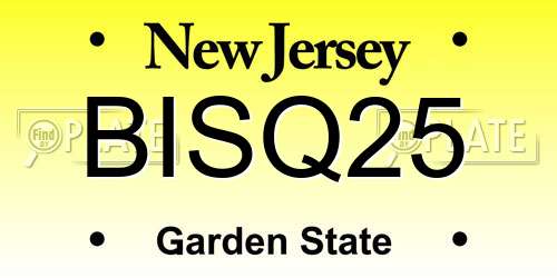 BISQ25 New Jersey License Plate