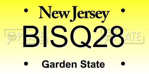 BISQ28 New Jersey License Plate