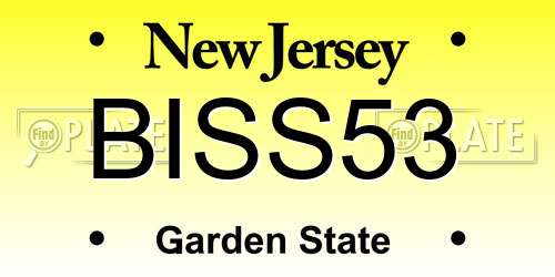 BISS53 New Jersey License Plate