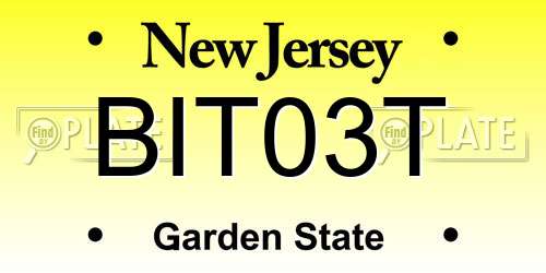 BIT03T New Jersey License Plate