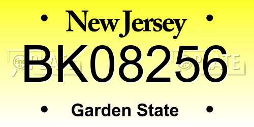 BK08256 New Jersey License Plate