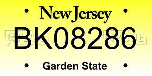 BK08286 New Jersey License Plate
