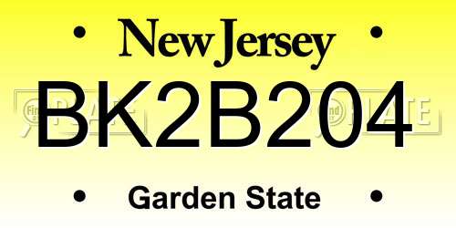 BK2B204 New Jersey License Plate