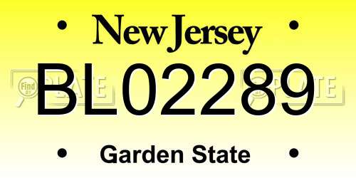 BL02289 New Jersey License Plate