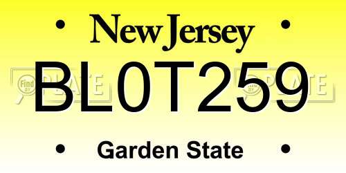 BL0T259 New Jersey License Plate