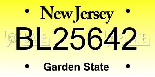 BL25642 New Jersey License Plate