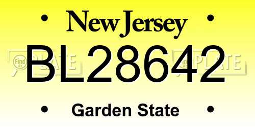 BL28642 New Jersey License Plate