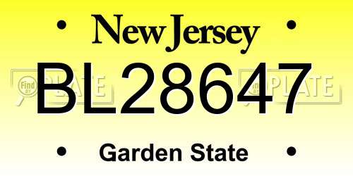BL28647 New Jersey License Plate