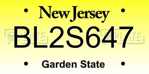 BL2S647 New Jersey License Plate