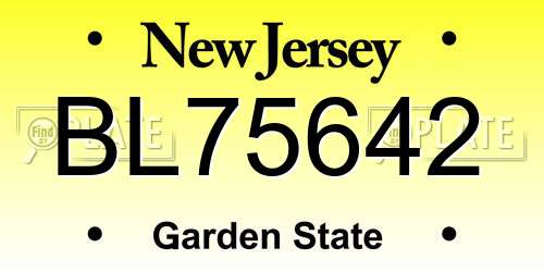 BL75642 New Jersey License Plate