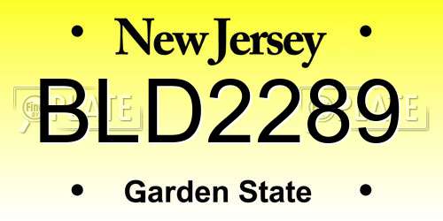 BLD2289 New Jersey License Plate