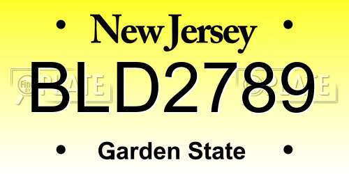 BLD2789 New Jersey License Plate
