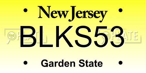 BLKS53 New Jersey License Plate