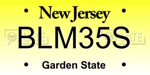 BLM35S New Jersey License Plate