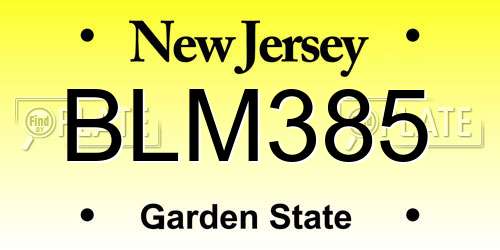 BLM385 New Jersey License Plate