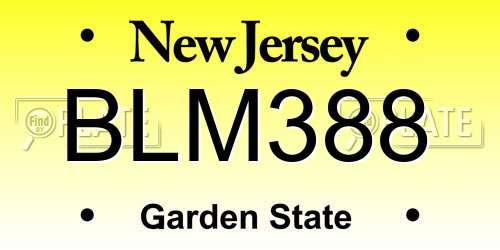 BLM388 New Jersey License Plate