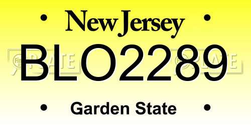 BLO2289 New Jersey License Plate