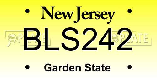 BLS242 New Jersey License Plate