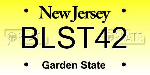 BLST42 New Jersey License Plate