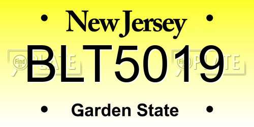 BLT5019 New Jersey License Plate