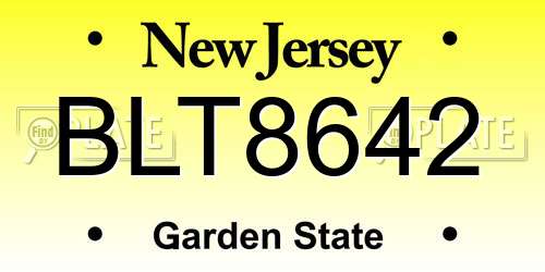 BLT8642 New Jersey License Plate
