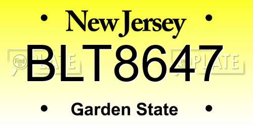 BLT8647 New Jersey License Plate