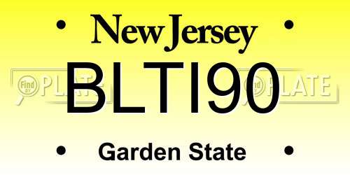 BLTI90 New Jersey License Plate