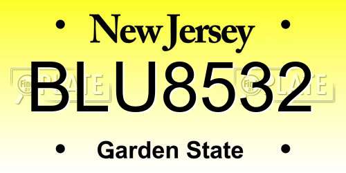 BLU8532 New Jersey License Plate