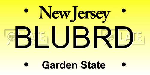 BLUBRD New Jersey License Plate