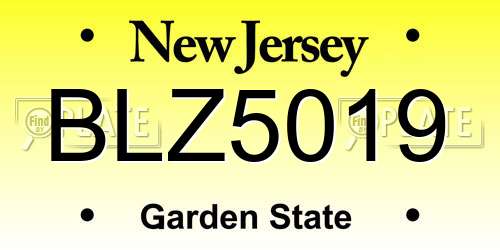 BLZ5019 New Jersey License Plate