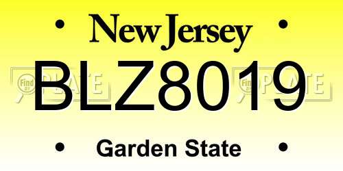BLZ8019 New Jersey License Plate