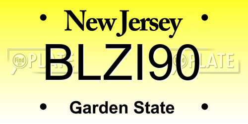 BLZI90 New Jersey License Plate