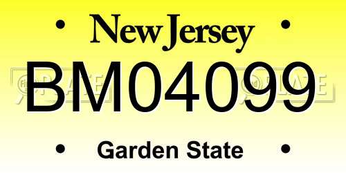 BM04099 New Jersey License Plate