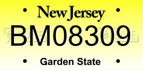 BM08309 New Jersey License Plate